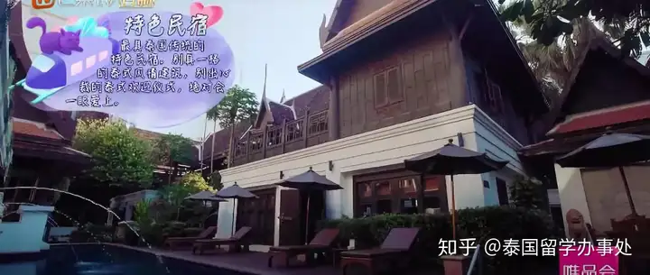 一篇读懂(妻子的浪漫旅行泰国打脸视频播放)妻子的浪漫旅行泰国打脸视频全集2023已更新 第13张