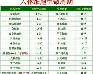 半年,帮助它们排除不必要的废物,并给予细胞们新生时所需要的优质原料