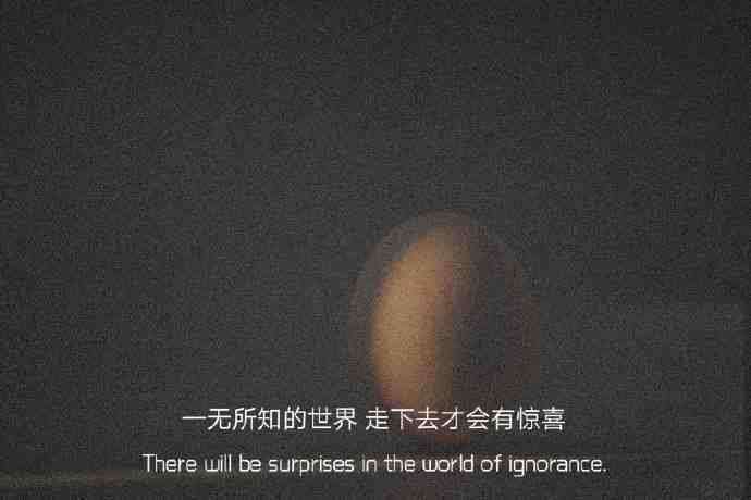 有哪些神仙句子让你记到现在的?插图70 有哪些神仙句子让你记到现在的?插图70