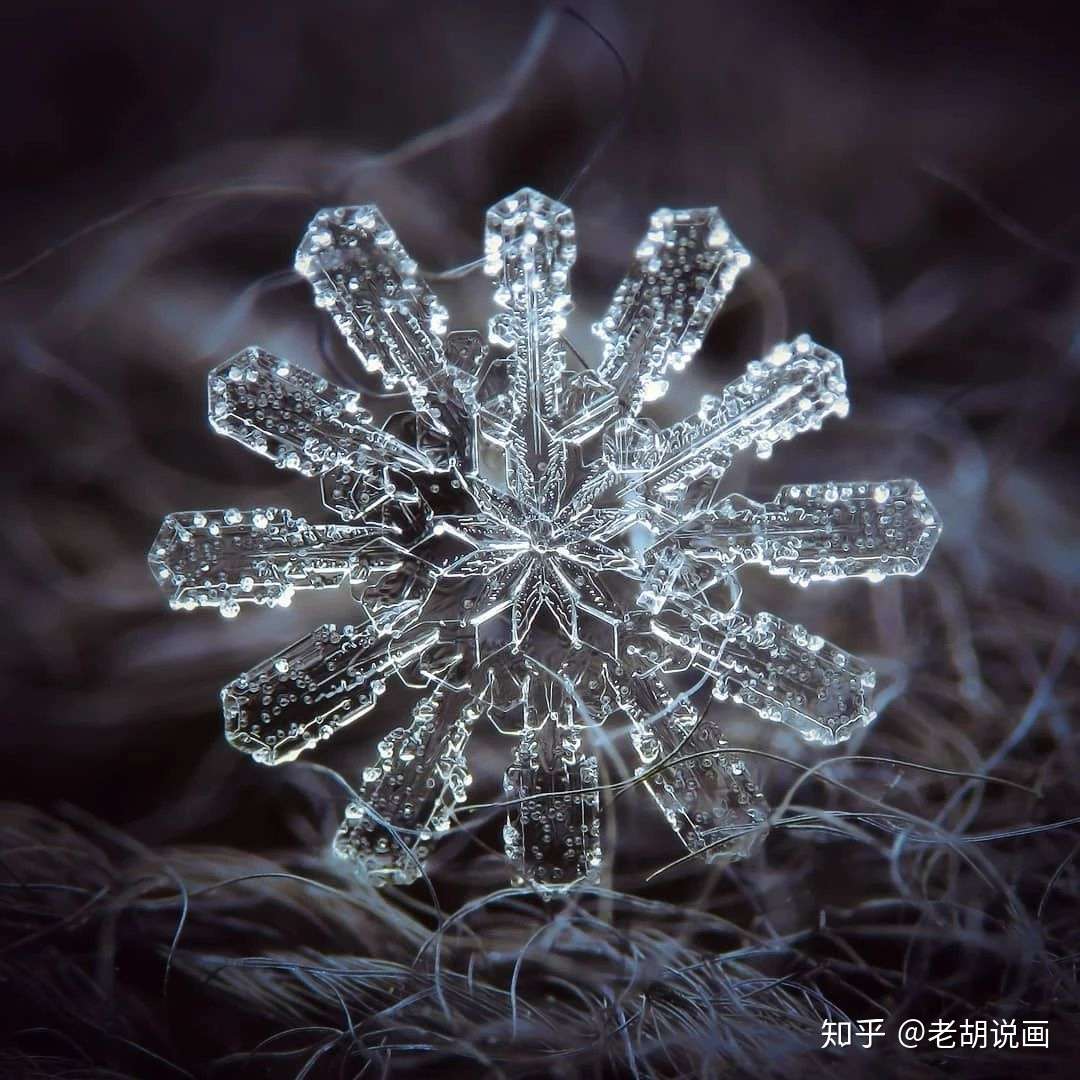 摄影 雪花可以有多美 知乎