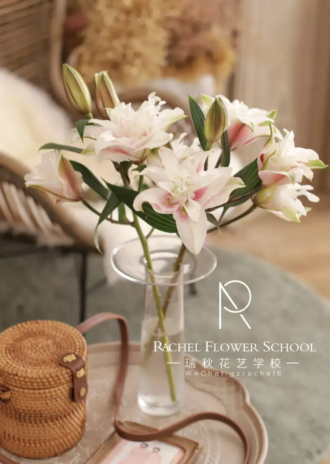 干货分享 花艺师必知的百合及选购要点 知乎