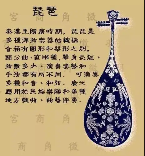 琵琶的故事 知乎