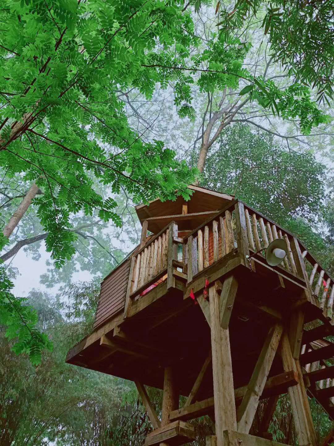 木鸟民宿 的想法: #重庆民宿# 成都惊现树屋民宿,设计感超… - 知乎