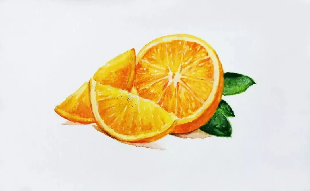 脐橙绘画图片
