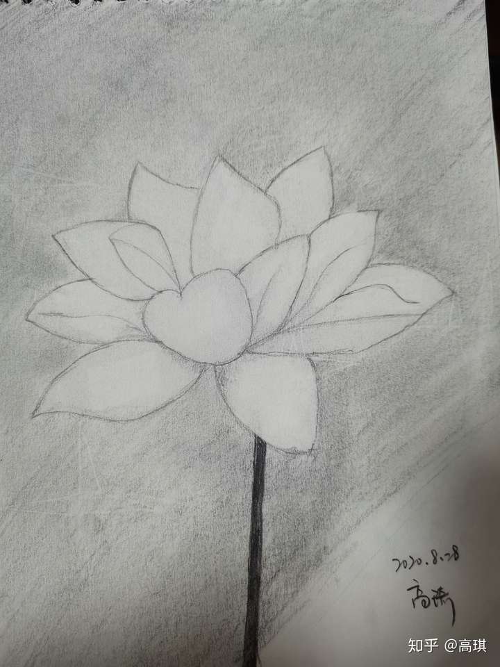 简单素描入手画不喜勿喷哦