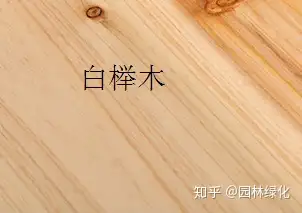 红榉木区别:白榉呈浅淡黄色,红榉稍偏红色.