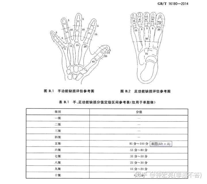 手碗內側肯斷有鋼板屬於幾級傷殘?