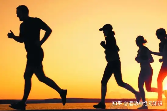 减肥瘦身方法 七天瘦二十斤的好方法