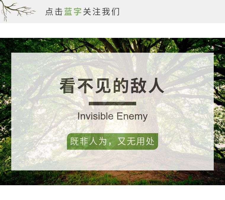 二恶英 世纪之毒 知乎