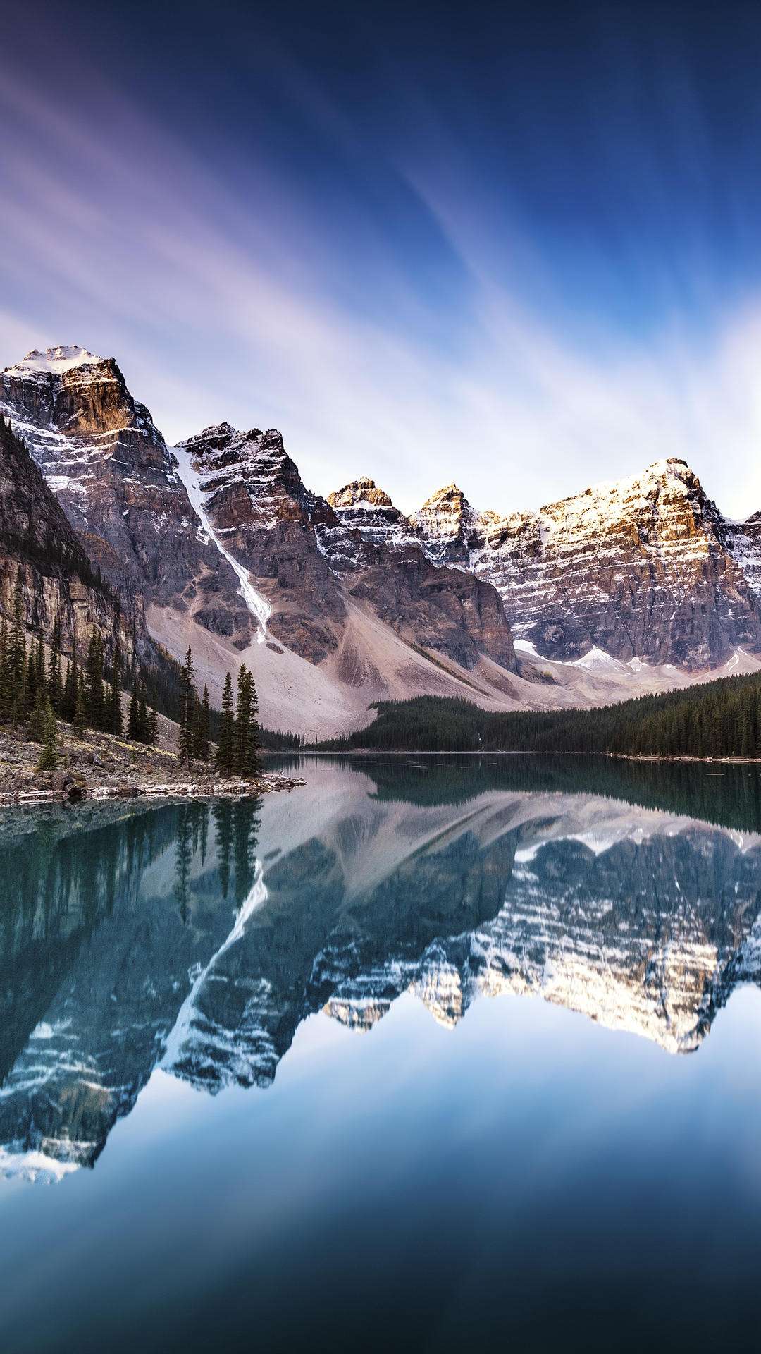 denial金属狗兼不合格军宅