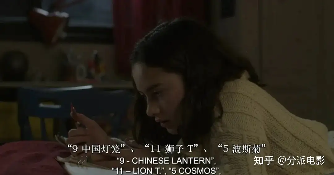 《主要音调》冷门佳作,一个神秘奇幻故事!