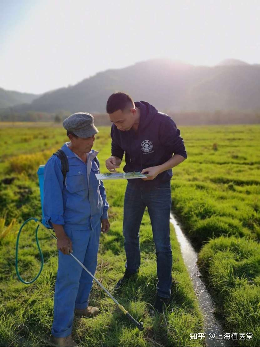 互联网植物医院在线看病植医堂打破传统农业 靠天吃饭 知乎