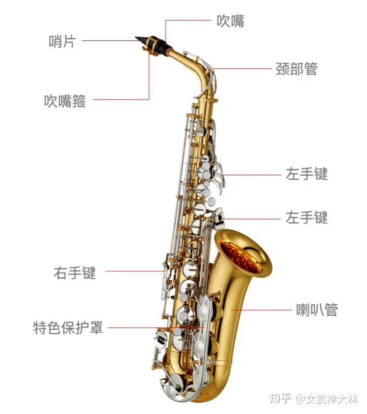 2023年萨克斯推荐：初学者怎么选购萨克斯？入门萨克斯哪个牌子好？