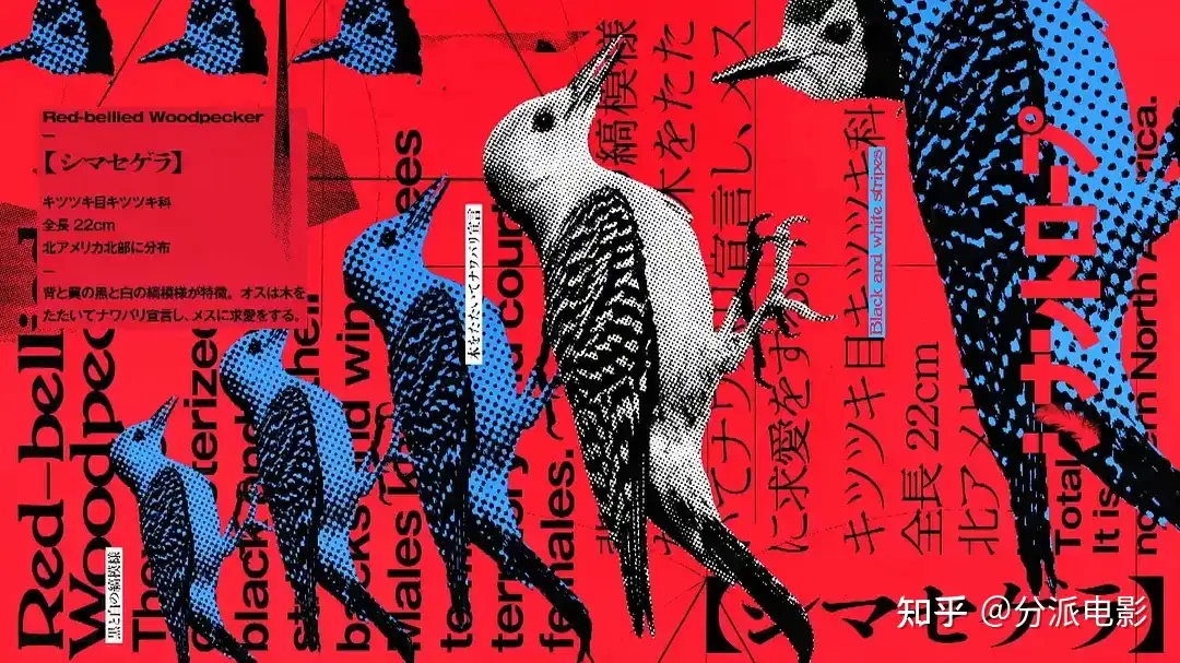 《伴人而生》荒诞又上头，本季最佳悬疑剧！