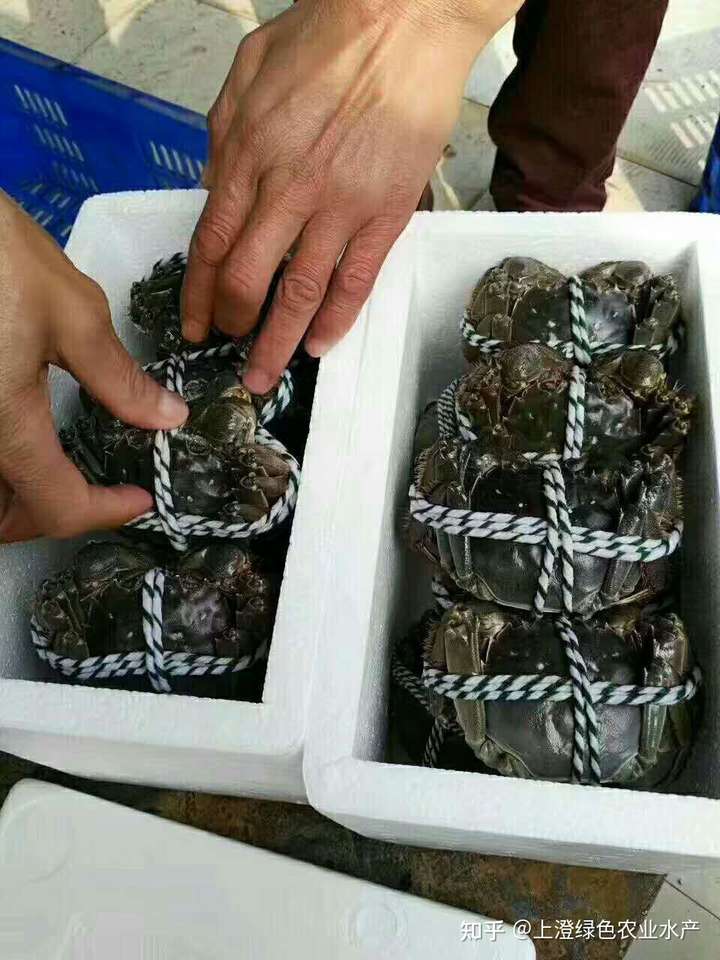 批发螃蟹赚钱吗知乎 批发螃蟹赚钱吗知乎