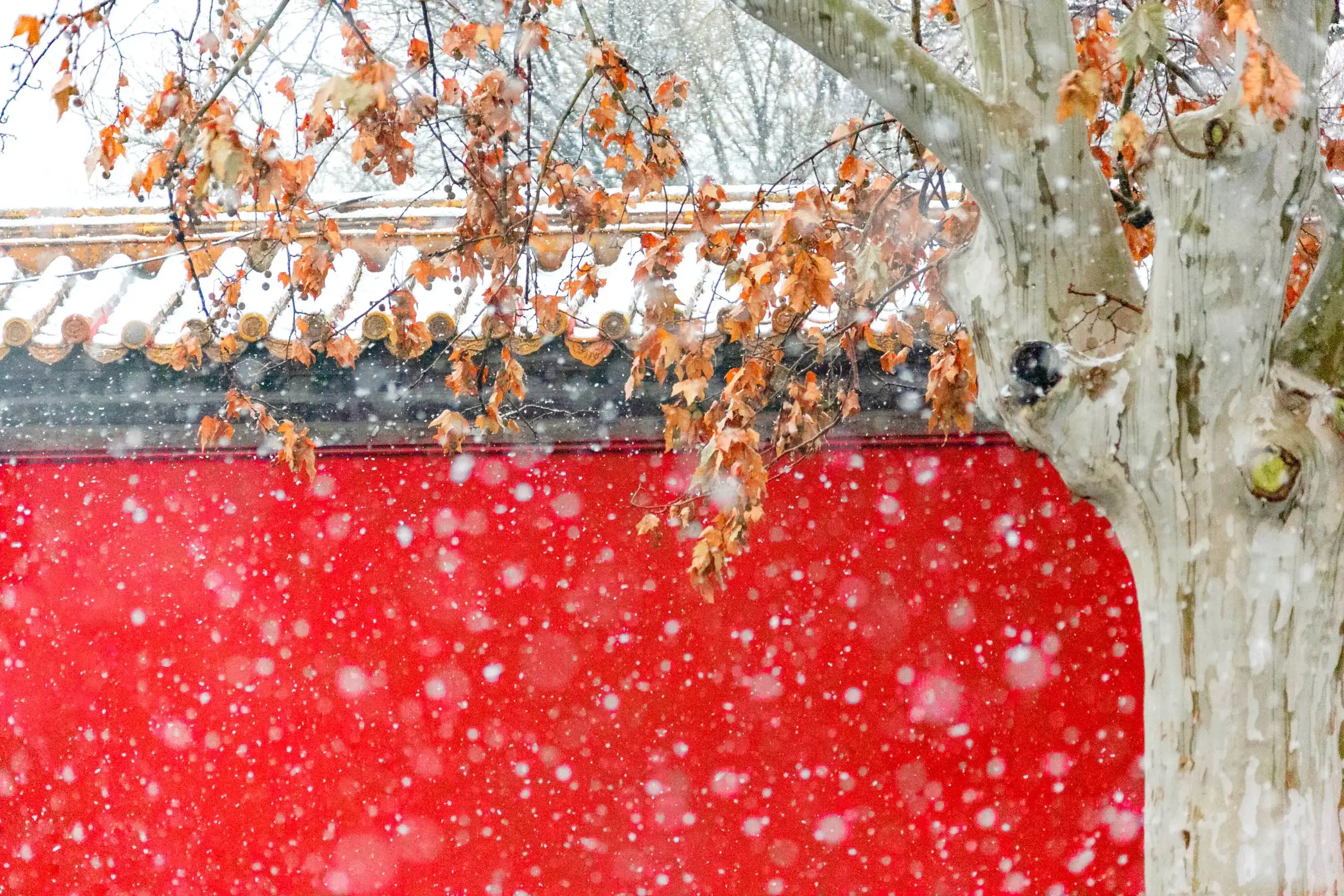 高清故宫雪景壁纸图片