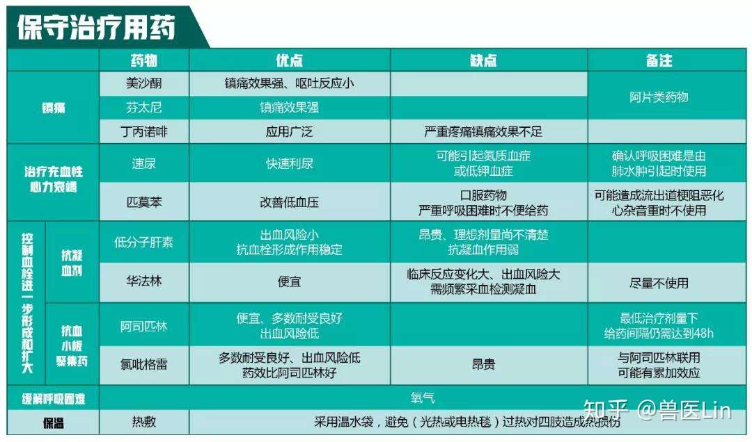 什么是猫血栓？如何诊断与治疗？ - 知乎