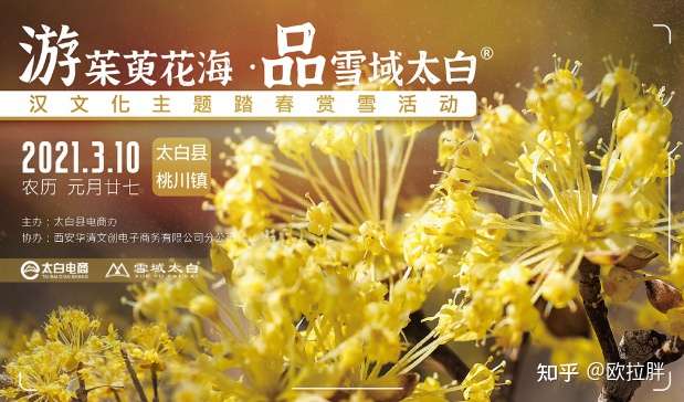 3月10日 来桃川 游茱萸花海 品 雪域太白 汉文化主题踏春赏雪活动即将举行 知乎