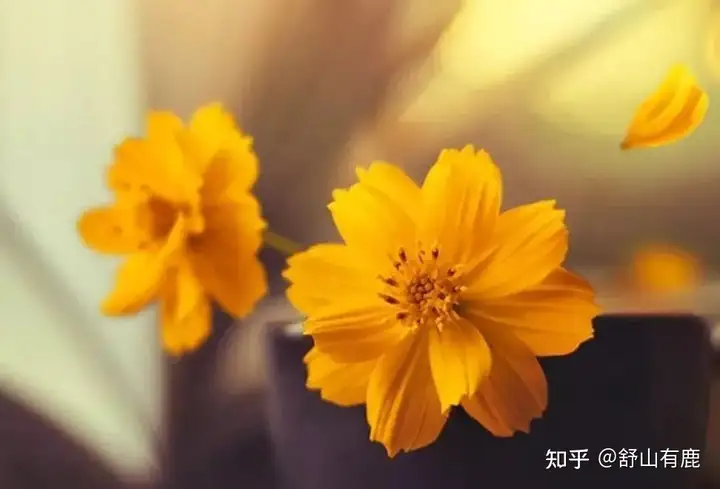 一个人，让你出现这四种感觉，那是老天暗示你要远离他