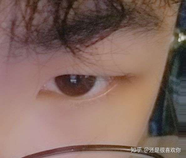 请问一下,这种眼睛是丹凤眼吗?这是一个男孩子的眼睛?