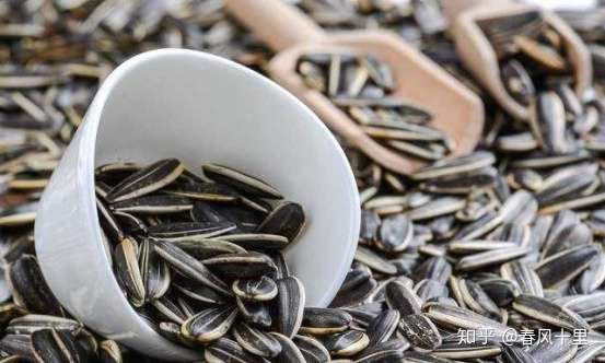 常吃瓜子的好处与坏处你知道吗 知乎