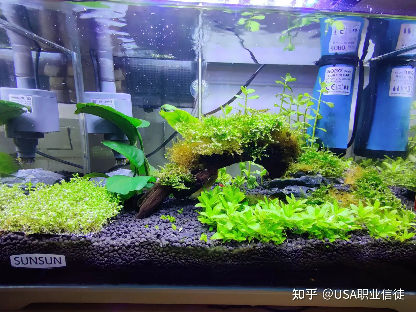 草缸新手开缸必看 设备投入和预算 知乎