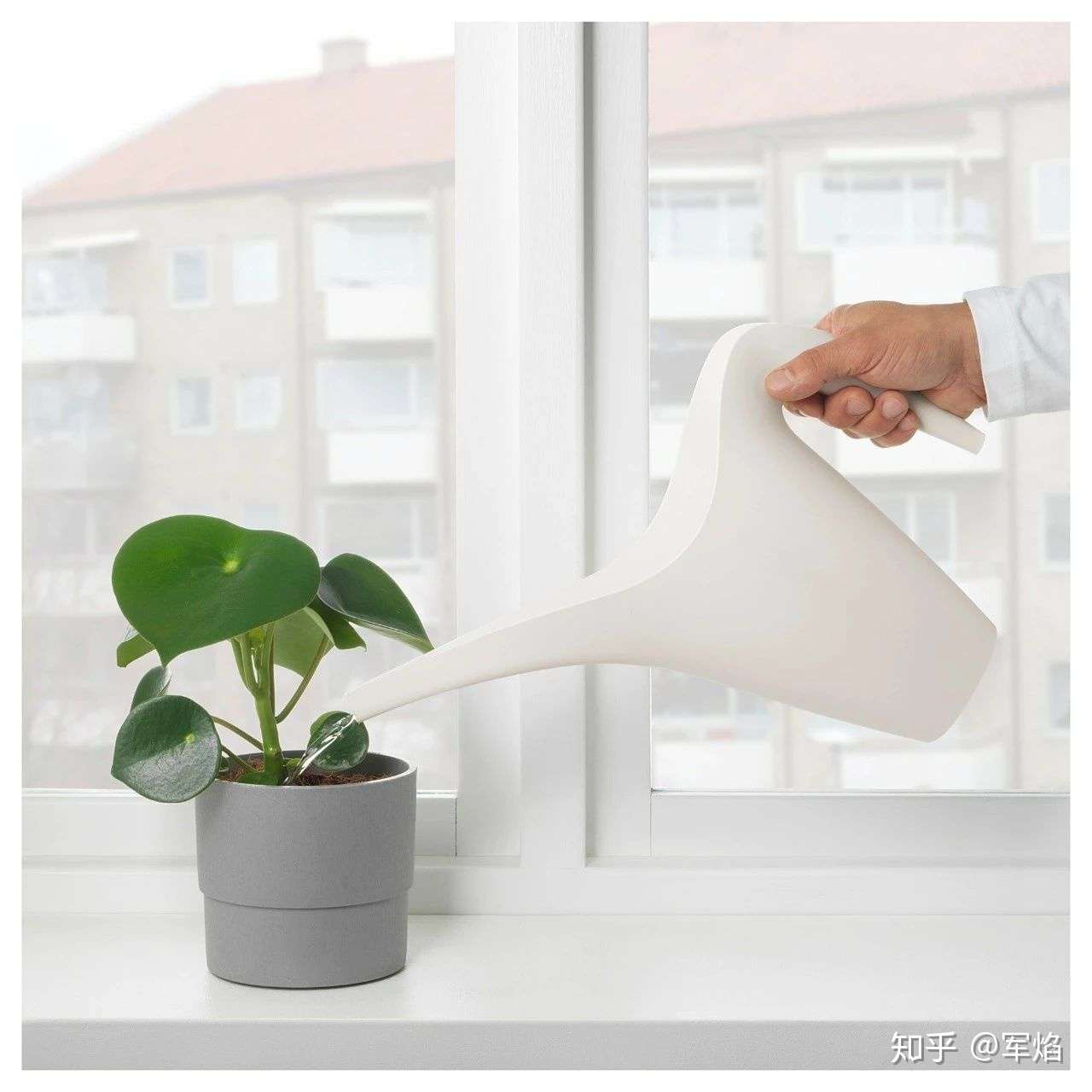 盘一盘宜家那些值得买的园艺产品 知乎