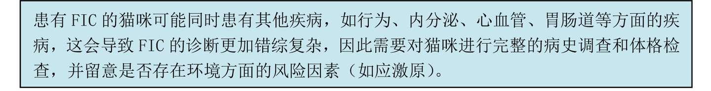 猫咪常见病系列之u2014u2014猫自发性膀胱炎（诊断治疗篇） - 知乎