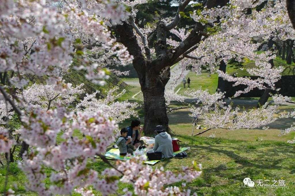 最适合五月的旅行地 去邂逅初夏阳光 知乎