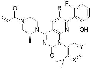 中晚期非小细胞肺癌首创性药物索托拉西的艰辛历程：让KRAS“不可成药”靶点魔咒成为历史