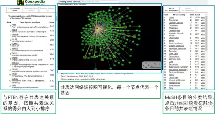 修改征信模板软件哪个好用（生信如何入门)插图4