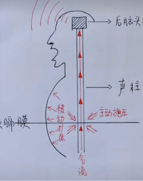 唱歌时气息流动图解图片