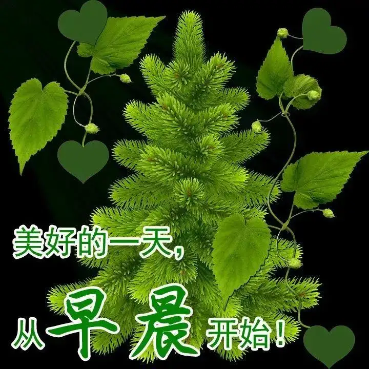 早晨好问候语录暖心句子送给你，清晨慰问朋友的早上好祝福句子（早上问候朋友的祝福语）