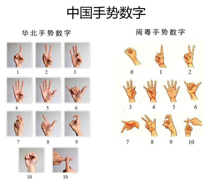 简单的手语动作图片