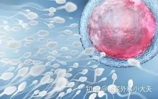 广州供卵试管机构（男性不育，无精症状好治疗吗？）