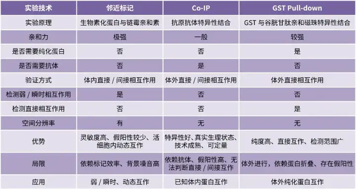 《邻近标记技术：研究蛋白互作的利器（四）》