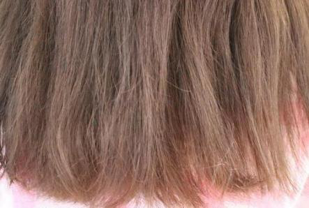 为什么头发会发黄