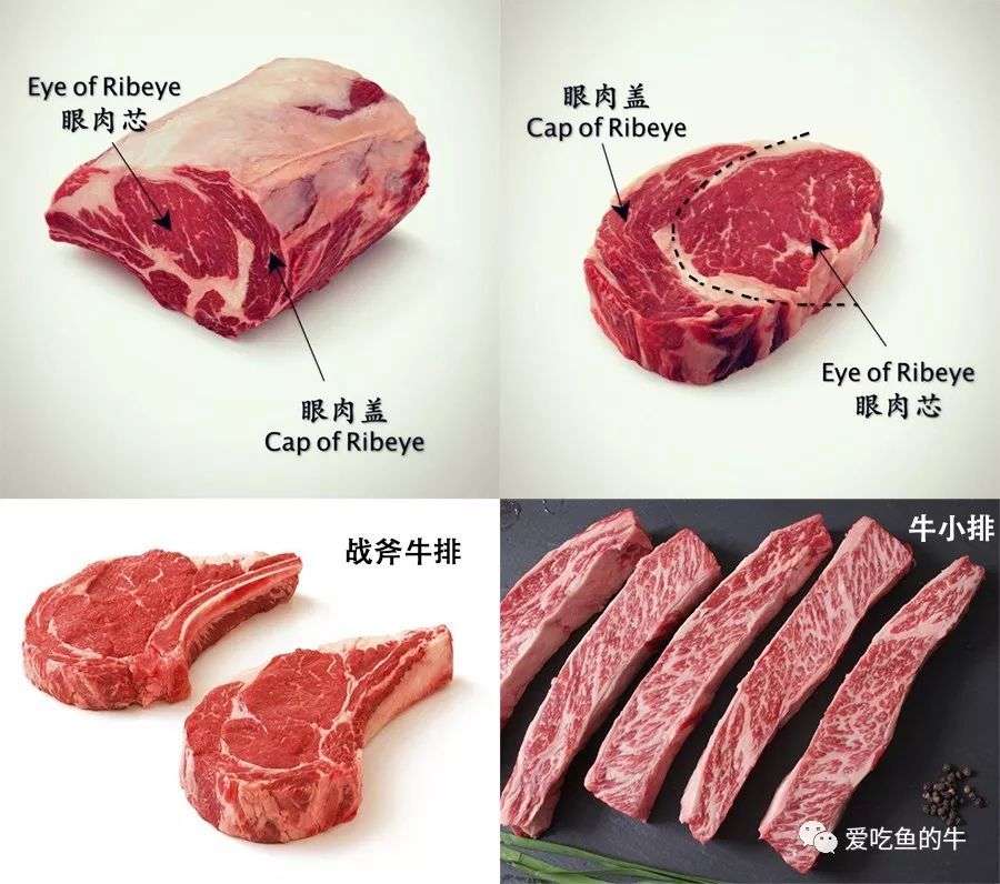 牛排部位详解 让你像屠夫一样熟知牛肉的终极指南 下 知乎