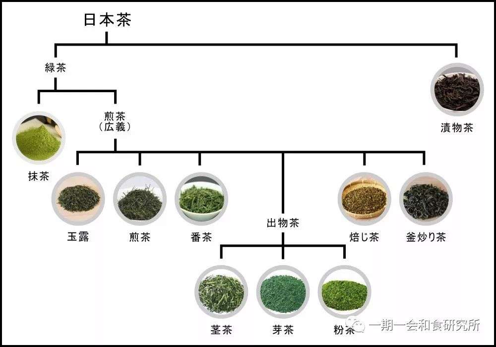 日本茶与茶文化 知乎