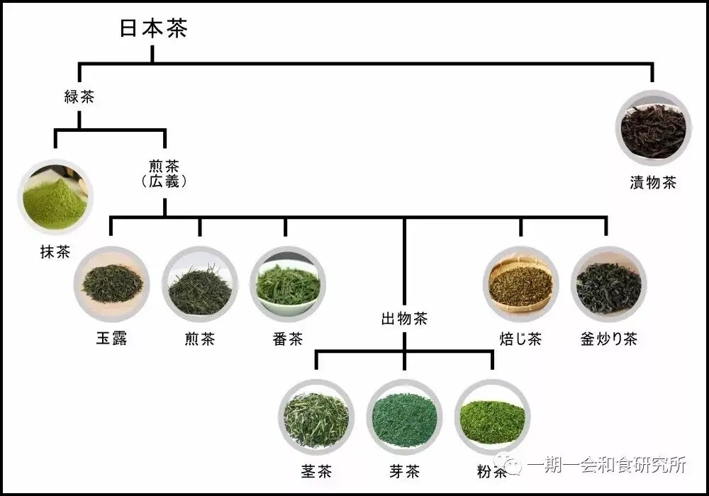 日本茶与茶文化- 知乎