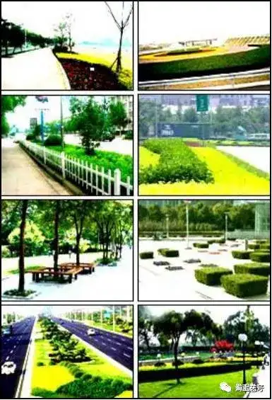 详解|城市道路绿地景观设计