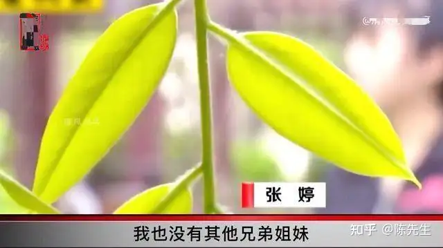 学到了吗（闺蜜男友被闺蜜整蛊假怀孕）男闺蜜怀孕了 第4张