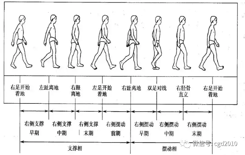 如何在有限空间内搭建更高效的步态分析实验室 知乎
