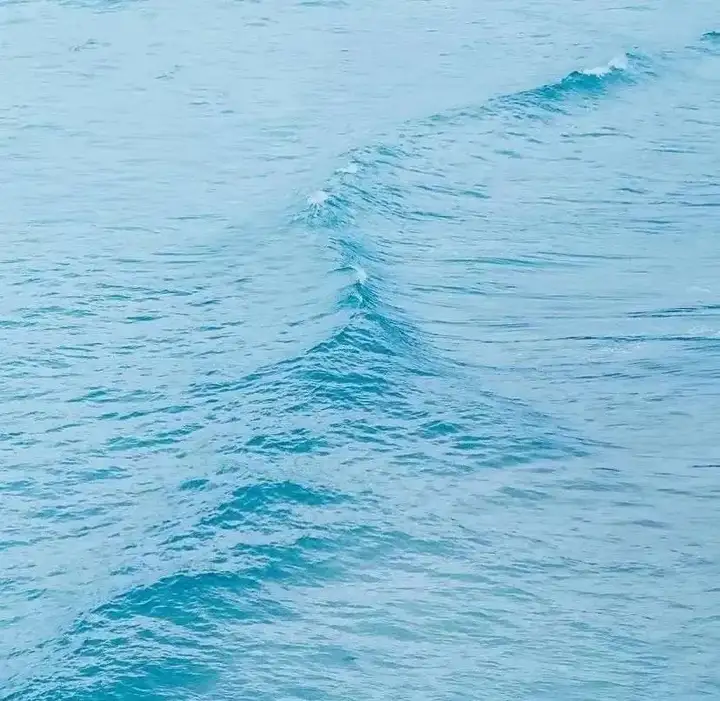 v2-2d13dd18431394c9b64c1bb9e1d150e1_720w.jpg