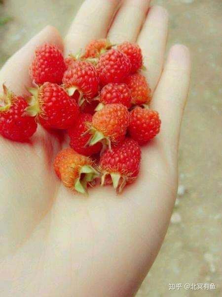 或者下面这种,大红泡