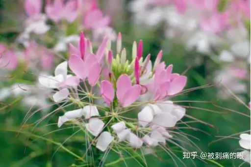 利润很吓人10个冷门创业项目个个经典(哪些是冷门暴利生意)