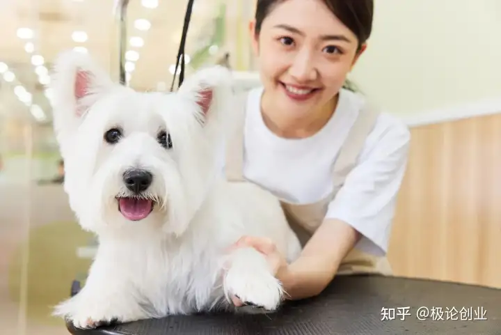 研究了十几个城市的30多个案例，我们拆解了宠物店经营的基本要素(图2)