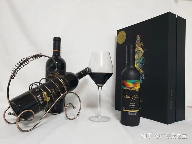 广东桑之宝之《我和我的家乡》：思乡情愁，情系赤子心(cctv3我和我的家乡)