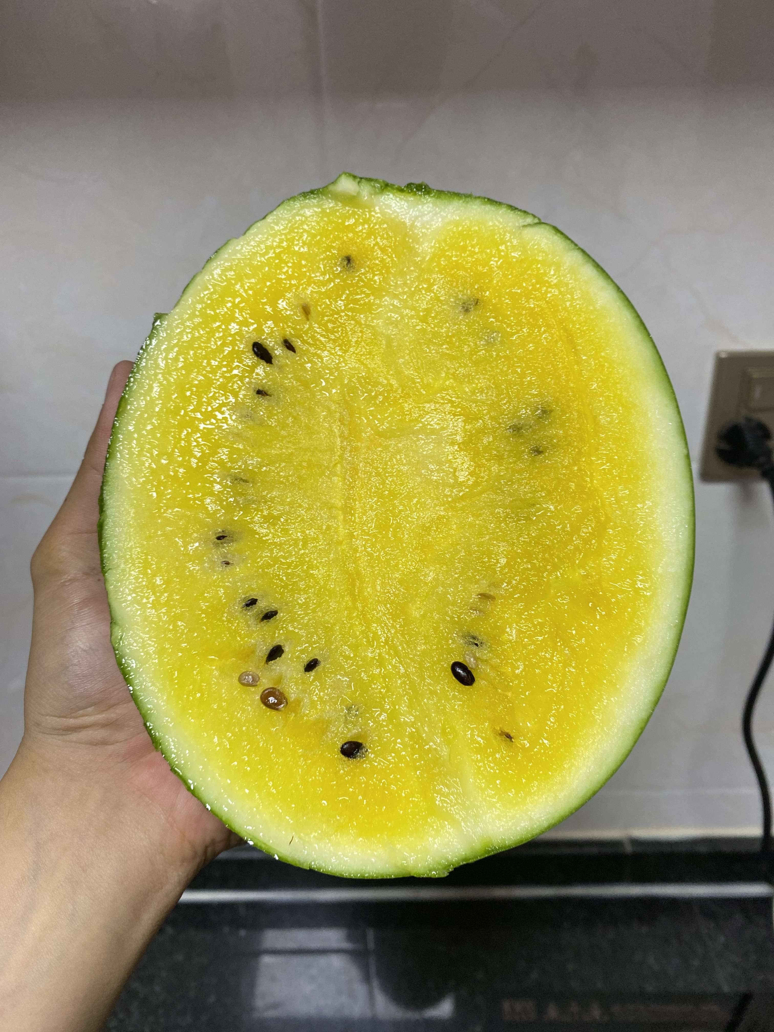 走饭 的想法: #阿饭应季水果分享# 海南特小凤西瓜!进… - 知乎