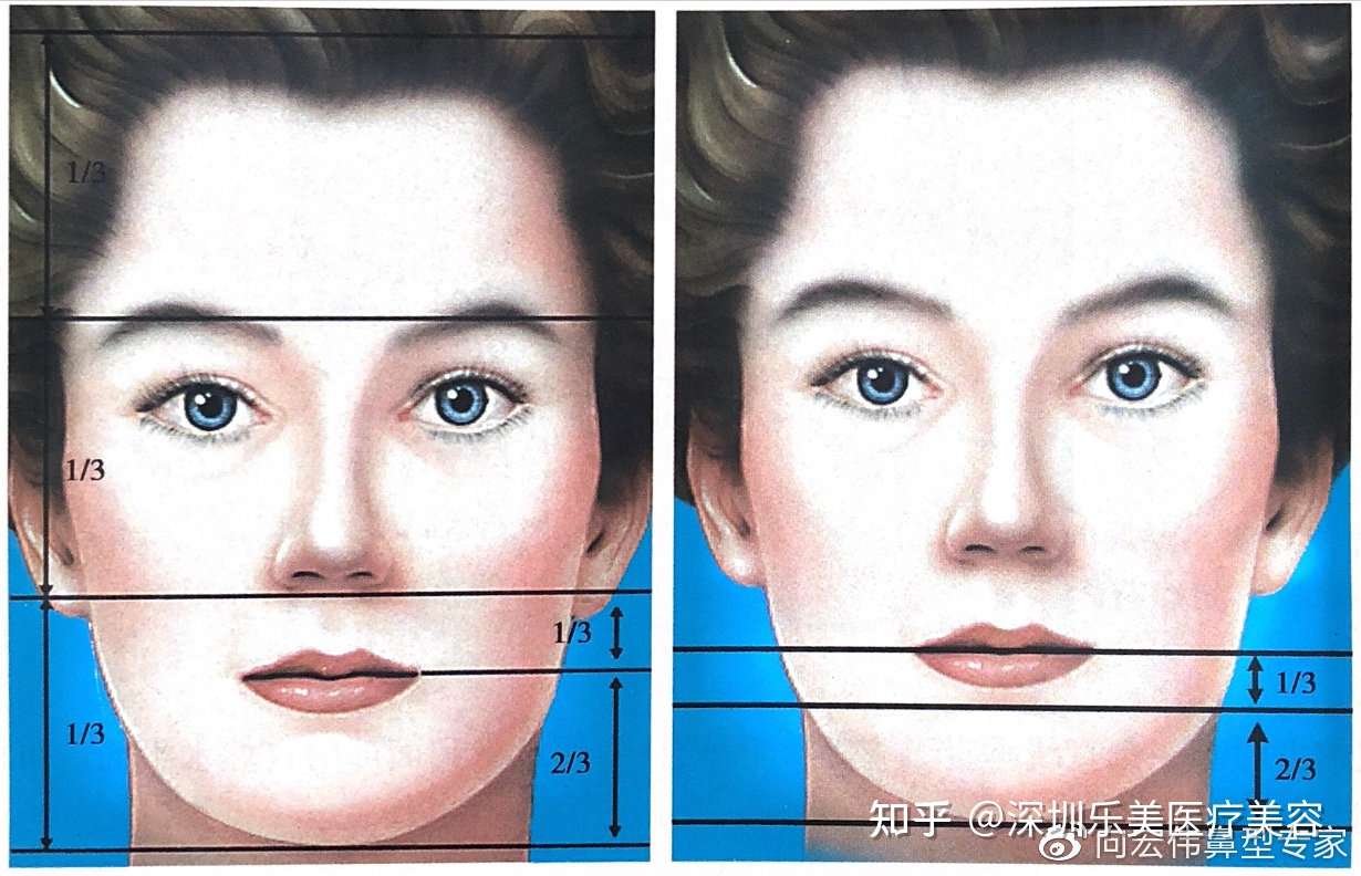 深圳乐美向宏伟谈鼻部美学分析 知乎
